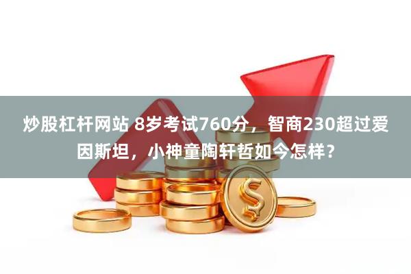 炒股杠杆网站 8岁考试760分，智商230超过爱因斯坦，小神童陶轩哲如今怎样？